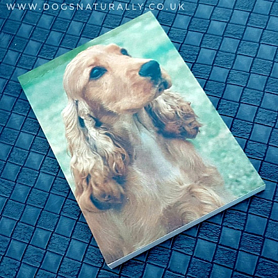 Cocker Spaniel (Gold) Magnetic Note Pad Standard